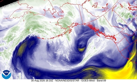 latest image of N. Pacific water vapor